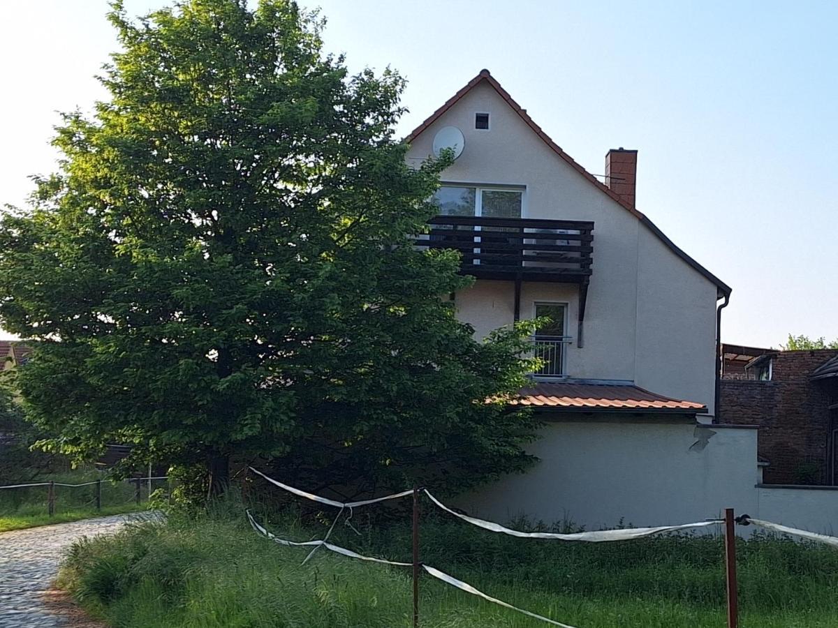 Ferienhaus Herztor Bad Bibra Esterno foto